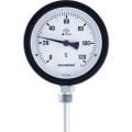 PAKKENS TERMOMETRE 10 CM 120 DERECE