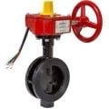 İZLENEBİLİR KELEBEK VANA DN65